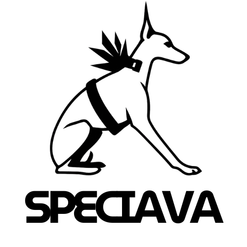 YJCJ Speciava